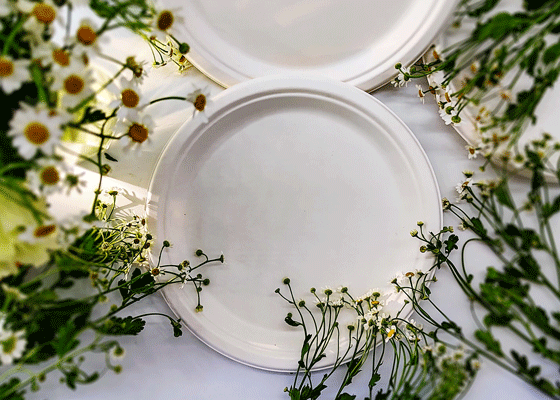 泰國工廠大量現(xiàn)貨供應：紙漿模塑餐具; 10寸圓盤